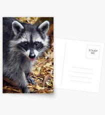 Rocky Postcards