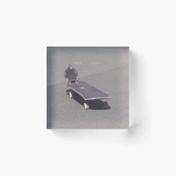 Item preview, Skateboarding Pigeon designed and sold by emoartwork.