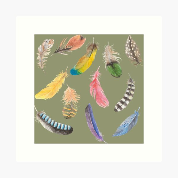 BIRD FEATHERS Print, Colorful Feathers Poster, Feather Print, Farm