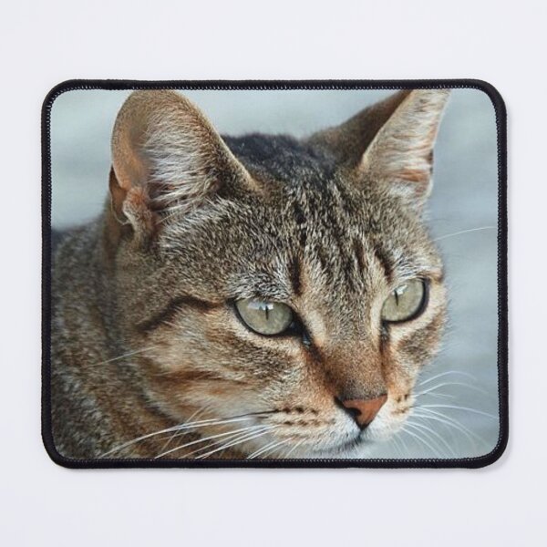 Item preview, Stunning Tabby Cat CloseUp Photo Portrait designed and sold by taiche.