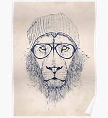 Cool lion Poster