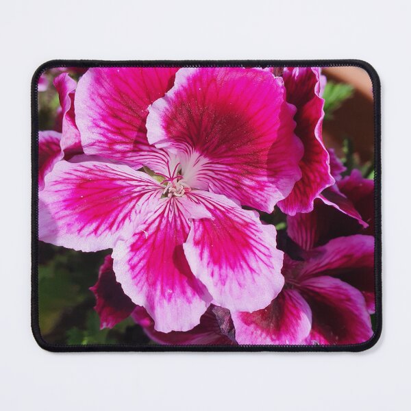 Item preview, Jardin designed and sold by Artstorical.