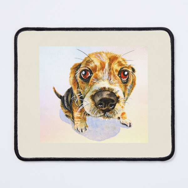 Item preview, Tricolour Beagle Boy designed and sold by pohlma.