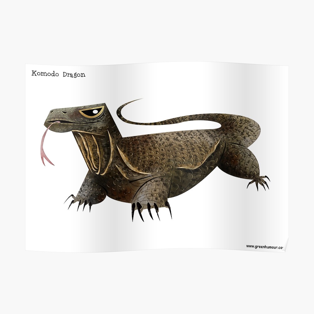 &quot;Komodo Dragon Illustration&quot; Poster by rohanchak Redbubble