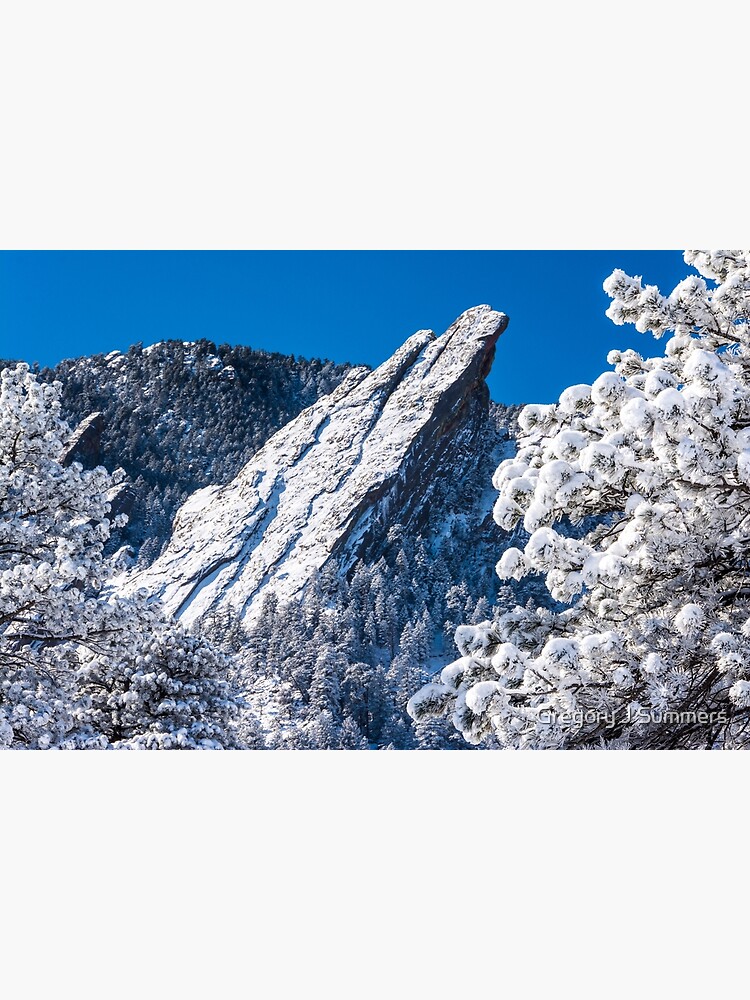The Third Flatiron - Through The Trees by nikongreg