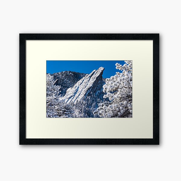 The Third Flatiron - Through The Trees Framed Art Print