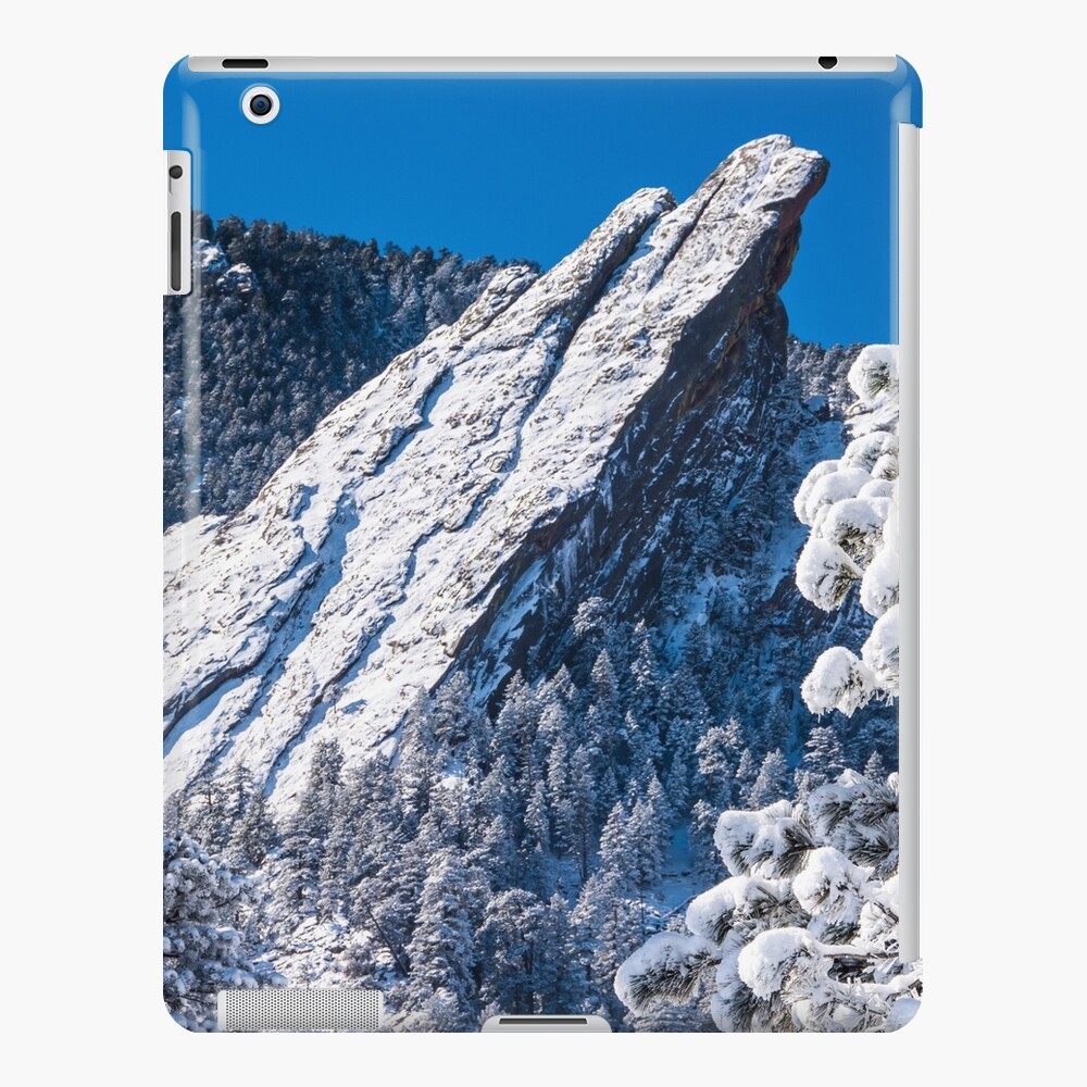 The Third Flatiron - Through The Trees iPad Case & Skin