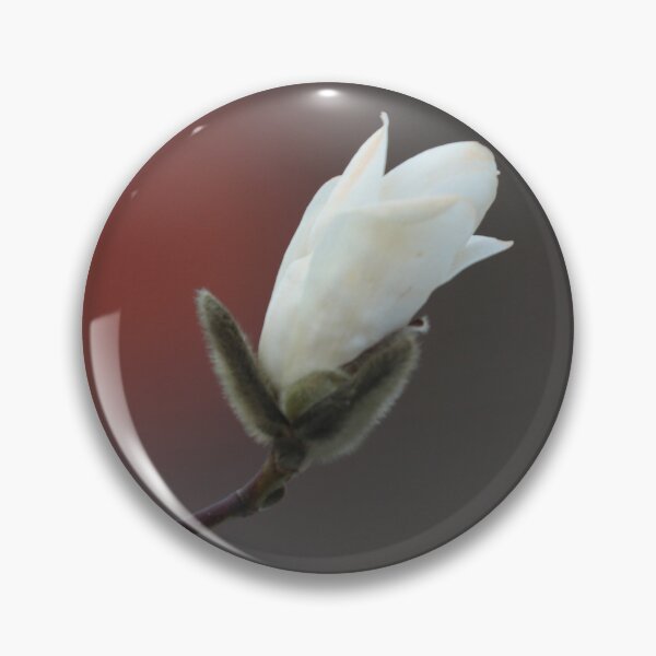 Artikelvorschau, Magnolie entworfen und verkauft von ART-SUNRISE.