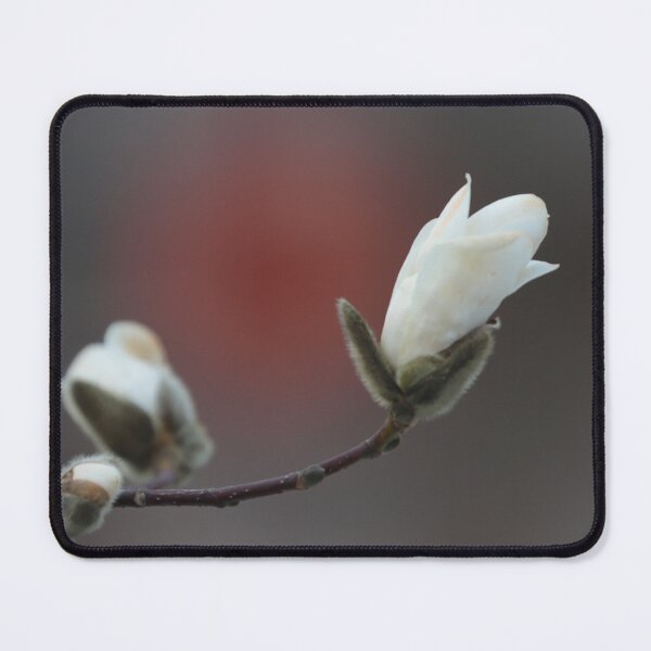 Item preview, magnolia designed and sold by ART-SUNRISE.