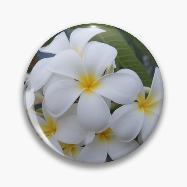 Item preview, white frangipani designed and sold by March Rider.