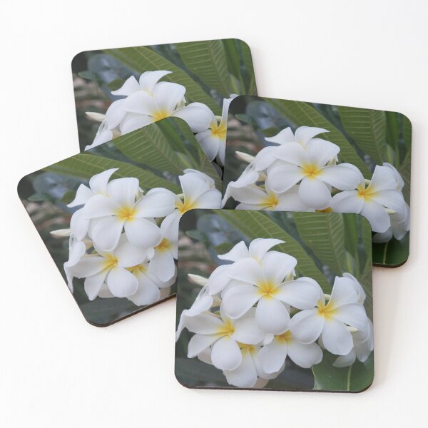 Item preview, white frangipani designed and sold by March Rider.