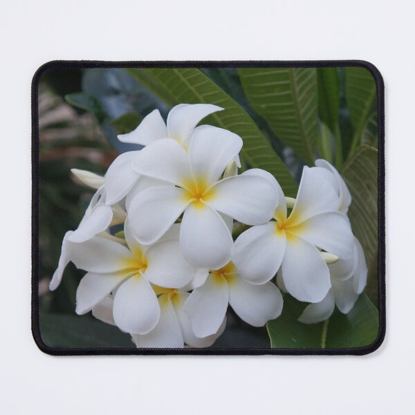 Item preview, white frangipani designed and sold by March Rider.