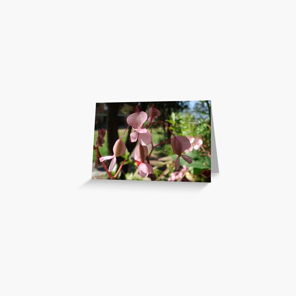 in pink Greeting Card