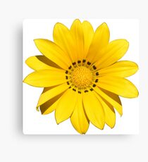 Geschenkidee Blumen Canvas Print