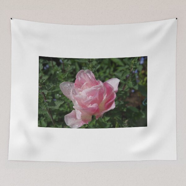 Item preview, Double Pink Tulip With Raindrops designed and sold by lezvee.