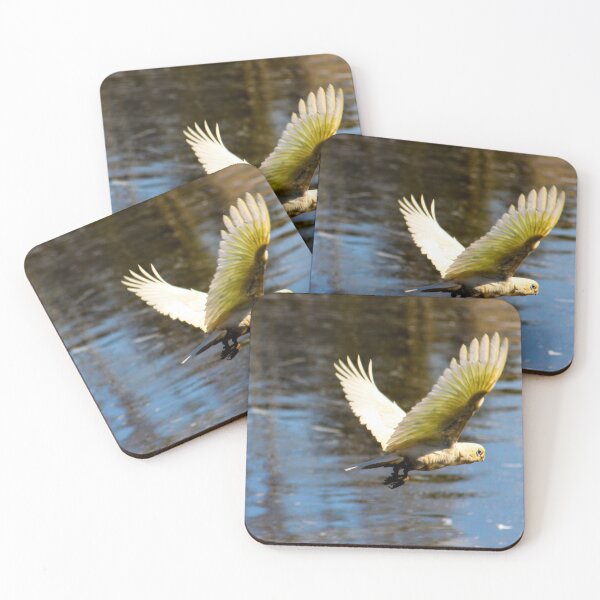 Item preview, Corella in flight designed and sold by indiafrankk.
