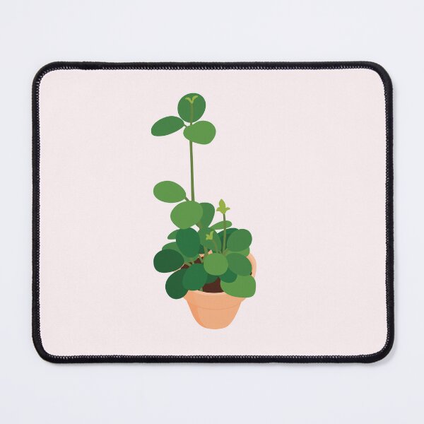 Item preview, Peperomia Hope Potted Plant designed and sold by zykydesigns.