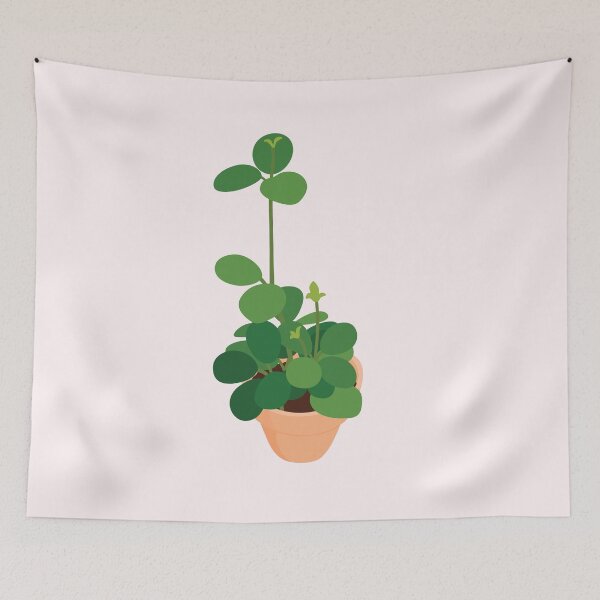 Item preview, Peperomia Hope Potted Plant designed and sold by zykydesigns.