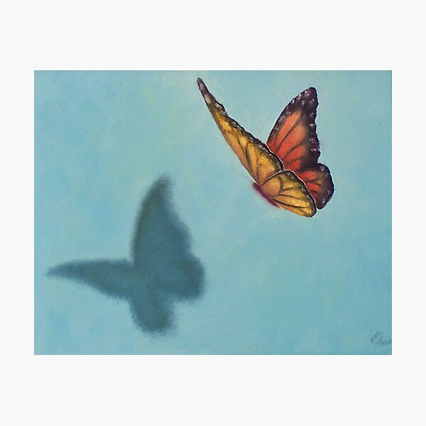 Monarch Photographic Print