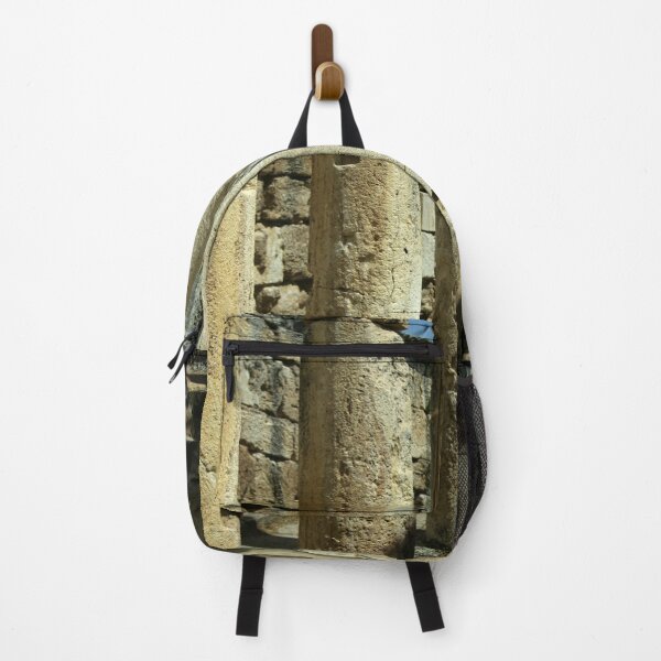 Item preview, Collonades Of The Roman Latrines Hierapolis Turkiye designed and sold by taiche.