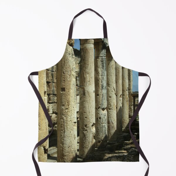 Item preview, Collonades Of The Roman Latrines Hierapolis Turkiye designed and sold by taiche.