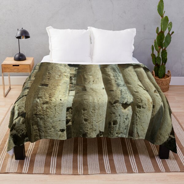 Item preview, Collonades Of The Roman Latrines Hierapolis Turkiye designed and sold by taiche.