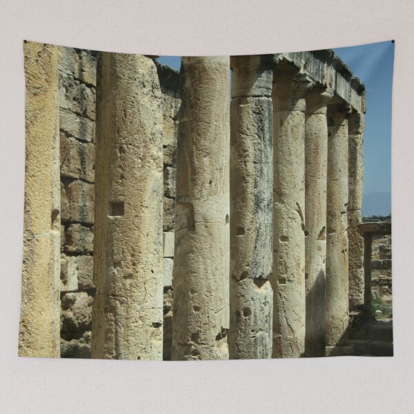 Item preview, Collonades Of The Roman Latrines Hierapolis Turkiye designed and sold by taiche.