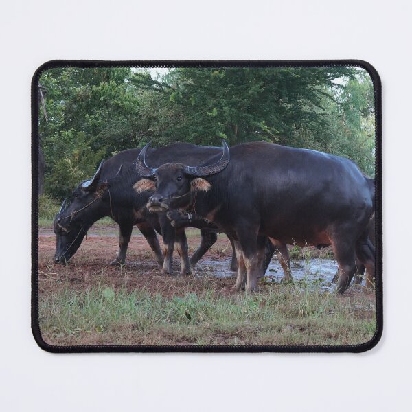 Item preview, buffalo walking  designed and sold by March Rider.