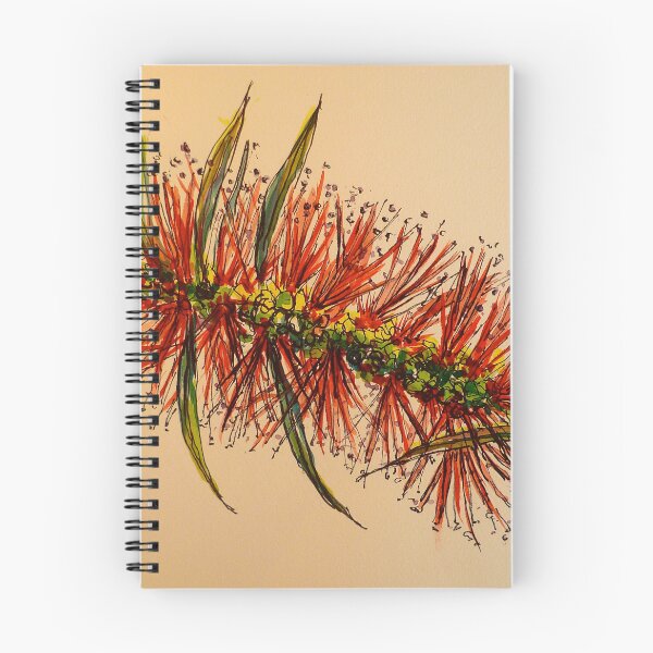 Item preview, King's Park bottlebrush. Pen and wash. designed and sold by Elizabeth Moore Golding.