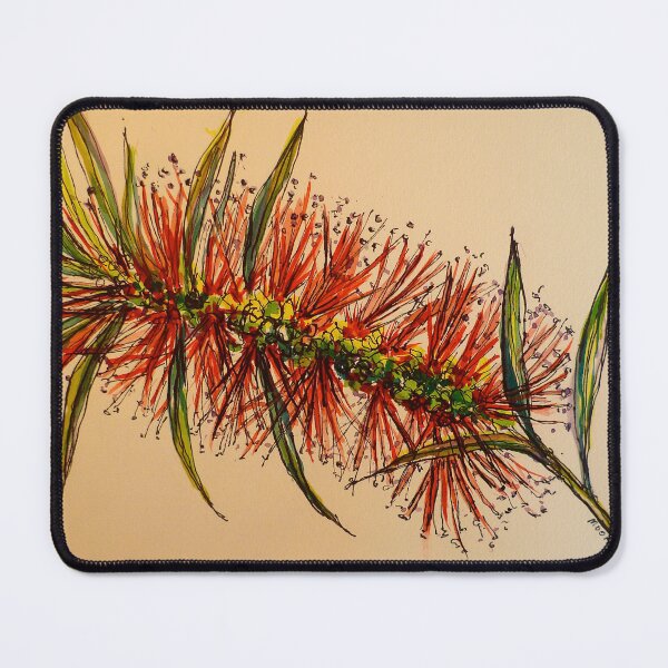 Item preview, King's Park bottlebrush. Pen and wash. designed and sold by Elizabeth Moore Golding.