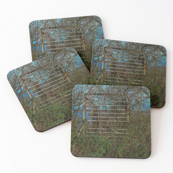 Item preview, thicket designed and sold by OskiOnTour.