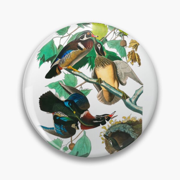 Item preview, Wood Duck by John James Audubon designed and sold by Olivia-One.