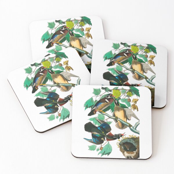 Item preview, Wood Duck by John James Audubon designed and sold by Olivia-One.