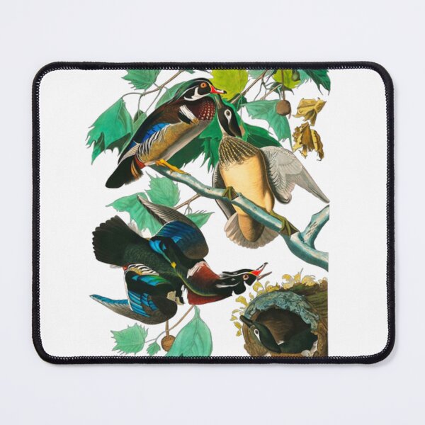 Item preview, Wood Duck by John James Audubon designed and sold by Olivia-One.