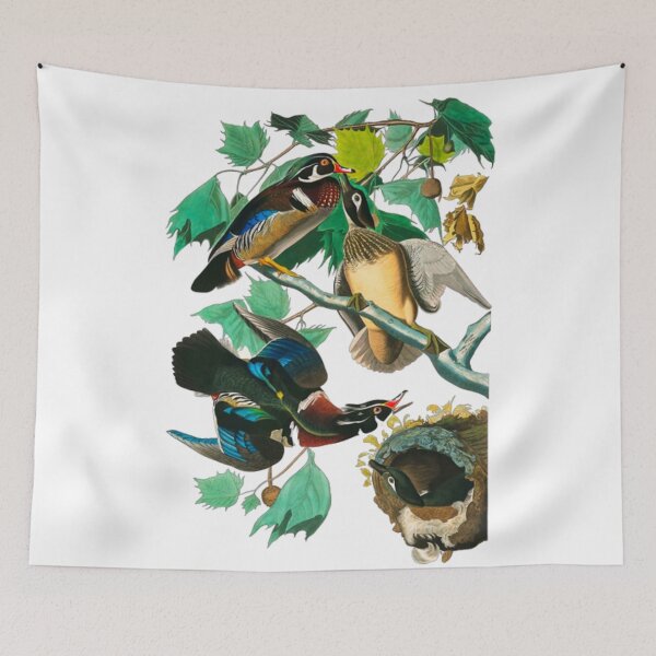 Item preview, Wood Duck by John James Audubon designed and sold by Olivia-One.