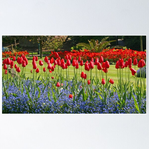Item preview, Tulip Mania designed and sold by RedHillDigital.