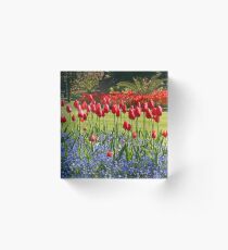 Tulip Mania Acrylic Block
