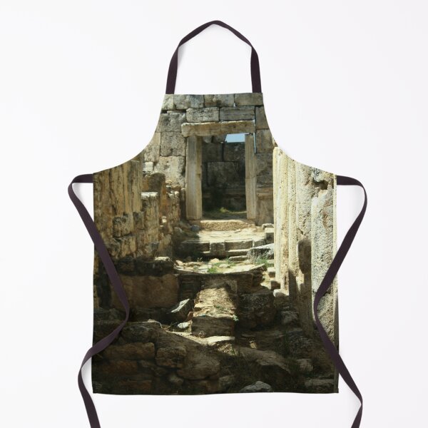 Item preview, Roman Latrine Hierapolis Turkiye designed and sold by taiche.