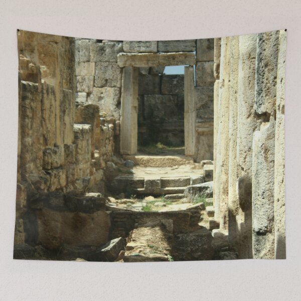Item preview, Roman Latrine Hierapolis Turkiye designed and sold by taiche.