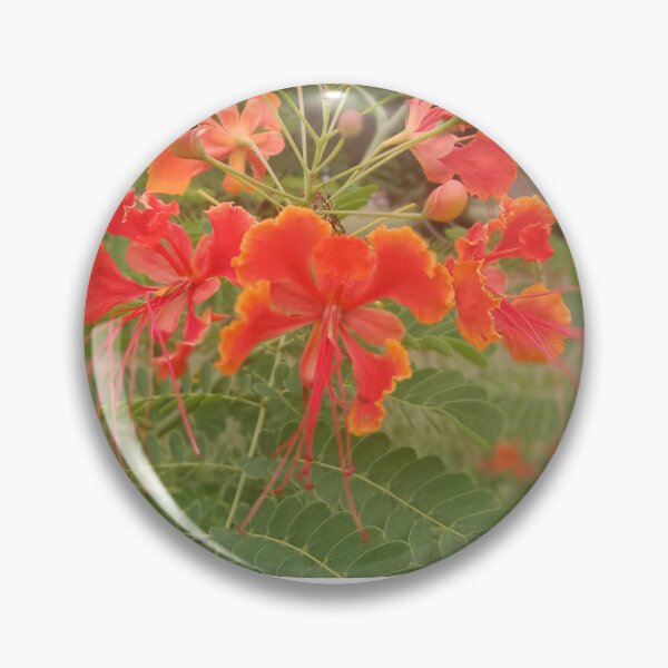 Item preview, Orange Lagania designed and sold by Nesian Tribe Designs.