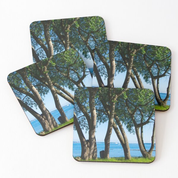 Aperçu de l'œuvre Arbres au fjord créée et vendue par jchanders.