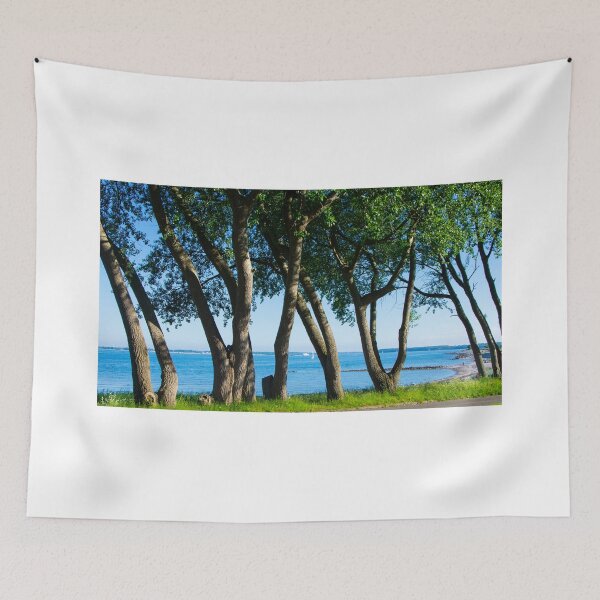 Item preview, Trees at  the fjord designed and sold by jchanders.