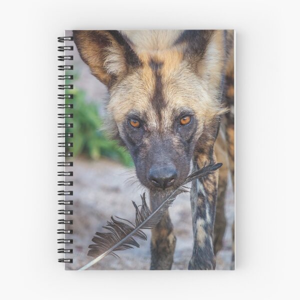 Item preview, Wild Dog's Prized Feather designed and sold by Owed To Nature.