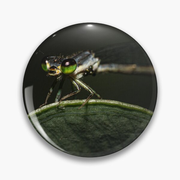 Item preview, Damselfly with green eyes designed and sold by Christopher Stephenson.