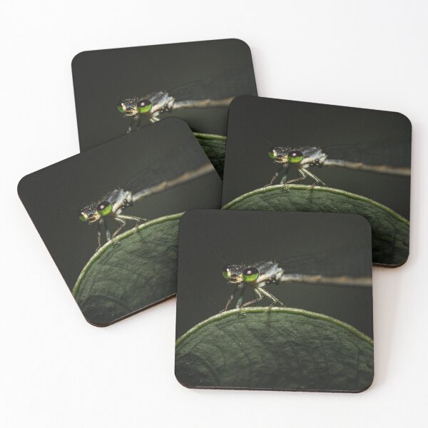 Item preview, Damselfly with green eyes designed and sold by Christopher Stephenson.