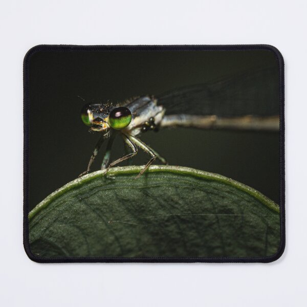 Item preview, Damselfly with green eyes designed and sold by Christopher Stephenson.