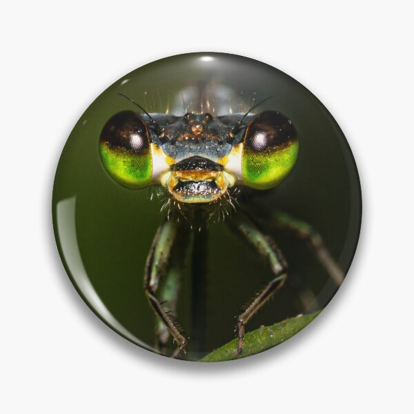 Item preview, Green eyed damselfly designed and sold by Christopher Stephenson.