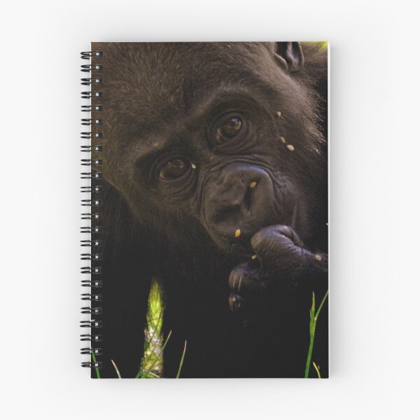 Item preview, Gorilla and the Grass Seed designed and sold by Barnbk02.