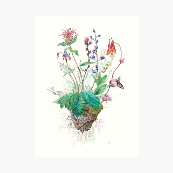 Wildlfowers Art Print