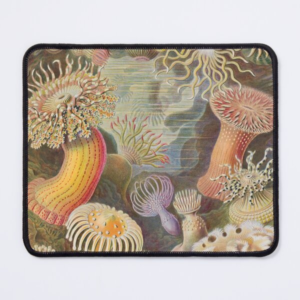 Item preview, Sea Anemone  by Ernst Haeckel - Vintage Art designed and sold by RickE.